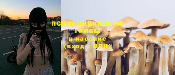 хмурый Волосово