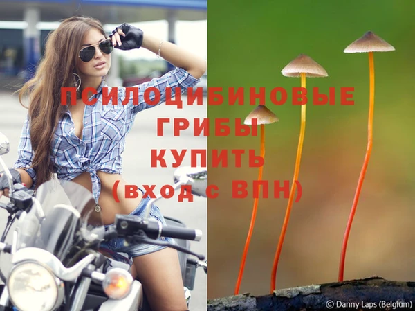 хмурый Волосово